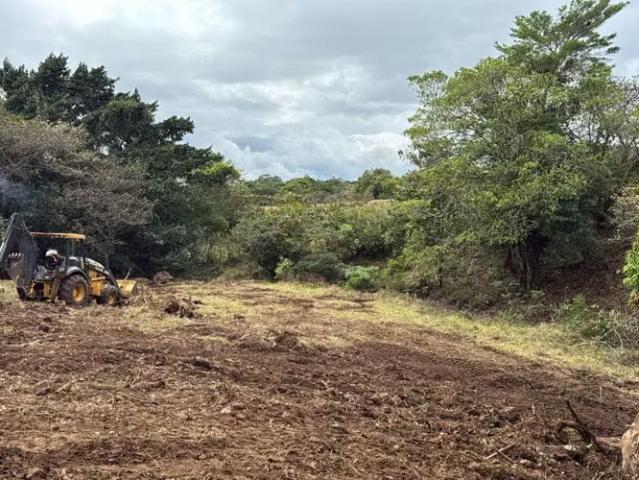Terreno venta en Palo Grande, Alanje