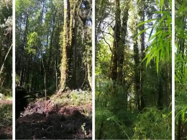 Terreno en venta en Castro, Provincia de Chiloé