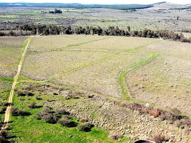 Terreno en arriendo en Población Fernández, Cauquenes