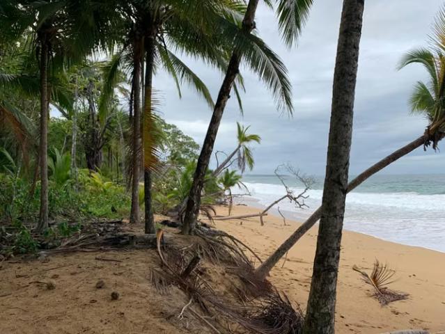 Terreno venta en Isla Colón, Bocas del Toro
