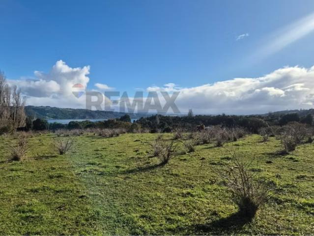 Terreno en venta en Quetro, Curaco de Vélez