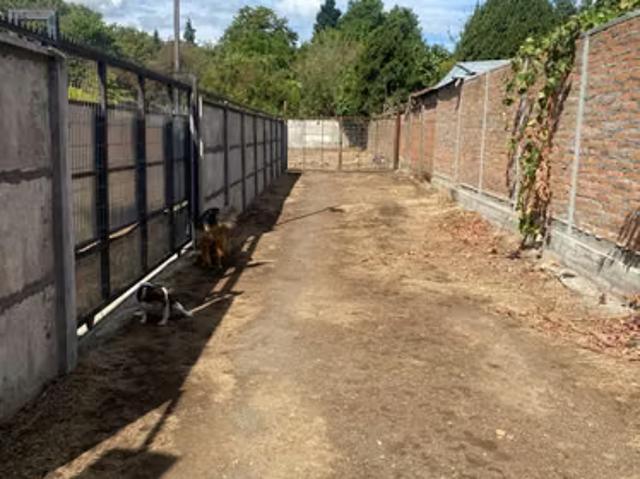 Terreno en arriendo en Cuna de la Patria, Chillán Viejo