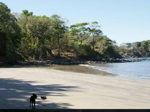 Terreno venta en Chiriquí, David
