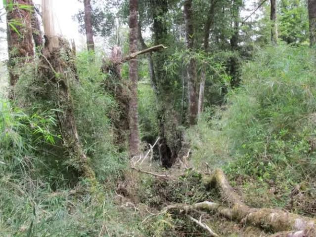 Terreno en venta en Chonchi, Provincia de Chiloé