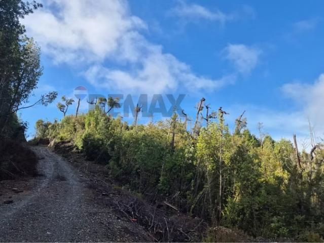 Terreno en venta en Natri Bajo, Chonchi