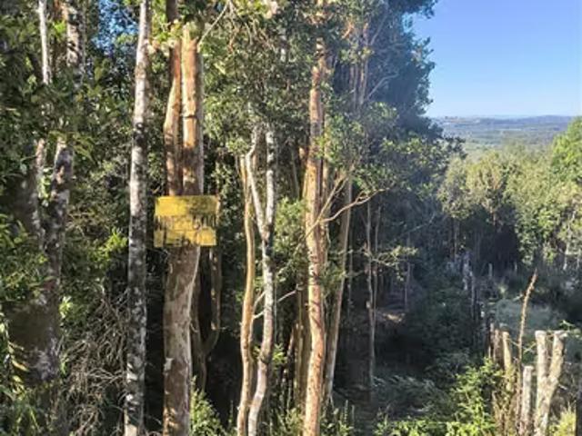 Terreno en venta en Puntilla Quiao, Chonchi