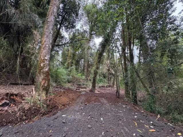 Terreno en venta en Chonchi, Provincia de Chiloé