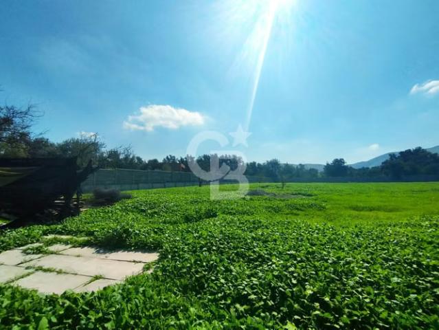 Terreno en arriendo en Algarrobal, Metropolitana