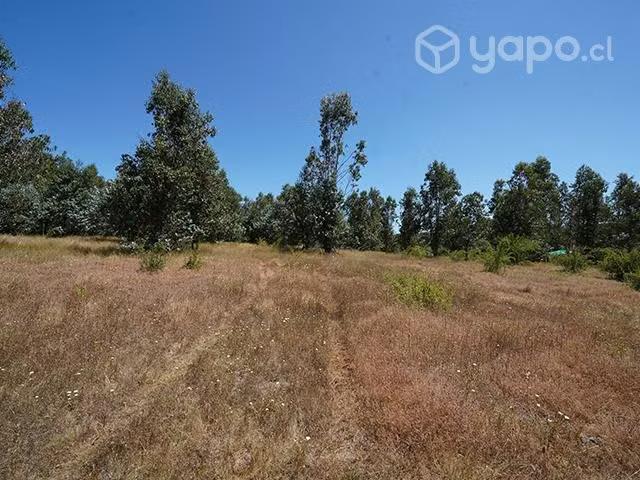 Terreno en venta en Concepción, Provincia de Concepción