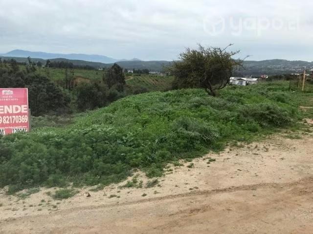 Terreno en venta en Concón, Provincia de Valparaíso