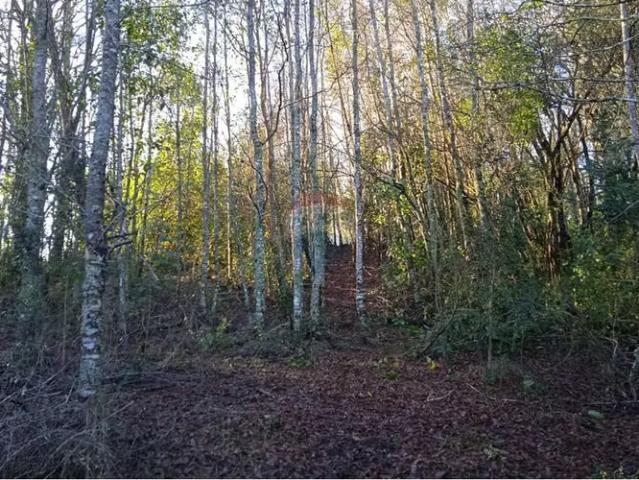 Terreno en venta en Trancura, Curarrehue