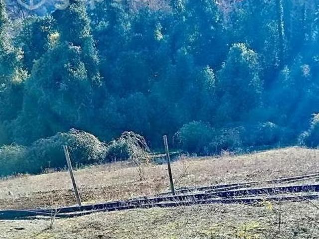 Terreno en venta en Molina, Provincia de Curicó