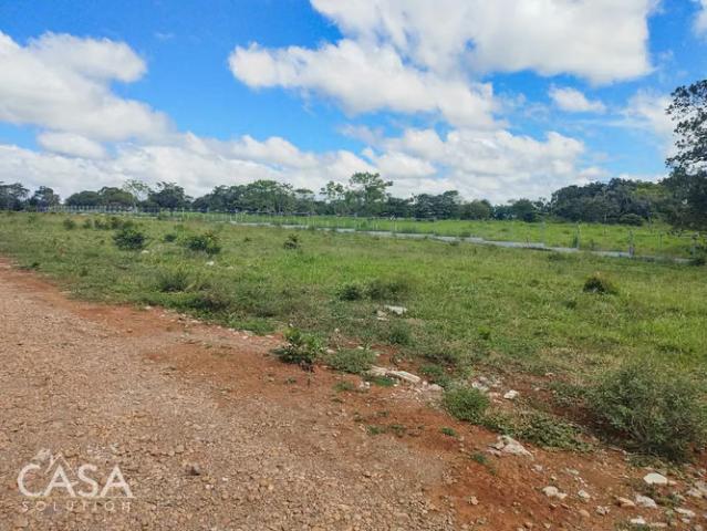 Terreno venta en Chiriquí, David