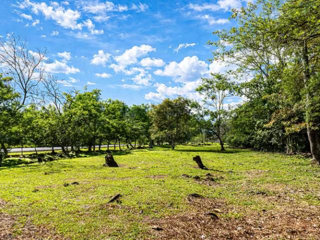 Terreno venta en Potrerillos abajo, Dolega
