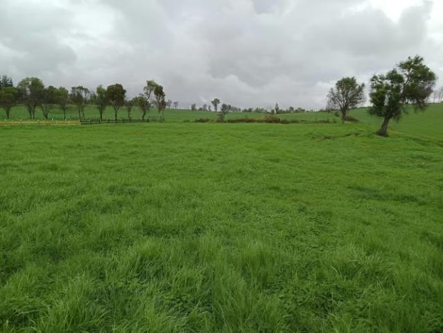 Terreno en venta en El Carmen, Provincia de Diguillín
