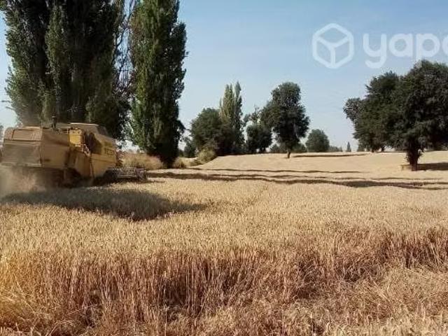 Terreno en venta en El Carmen, Provincia de Diguillín
