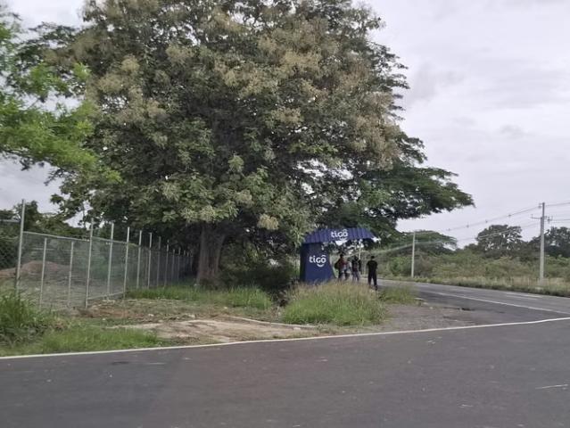 Terreno alquiler en El Chirú, Antón