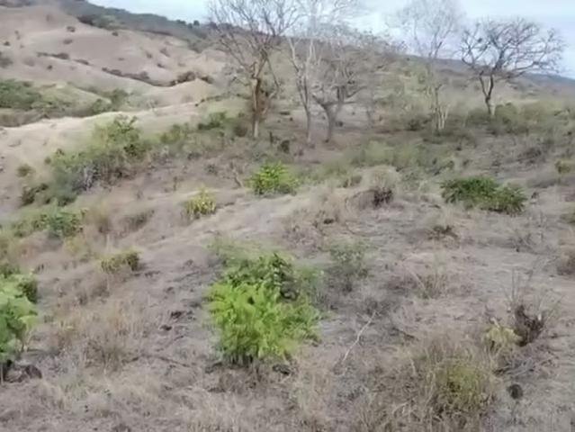 Terreno venta en El Pedregoso, Los Santos