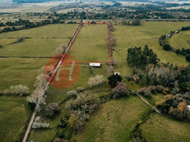 Terreno en arriendo en Freire, Provincia de Cautín