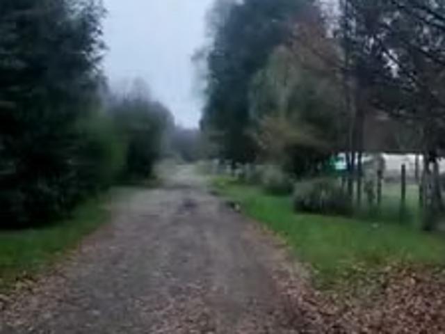 Terreno en venta en Nontuela, Futrono