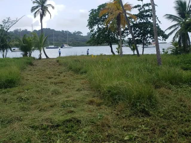 Terreno venta en Colón