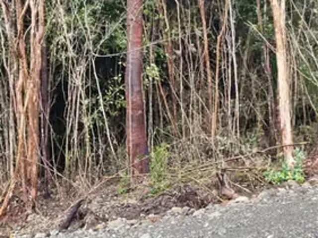 Terreno en venta en Contao, Hualaihué