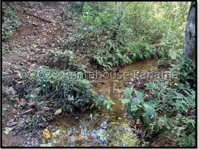 Terreno venta en La Mesa
