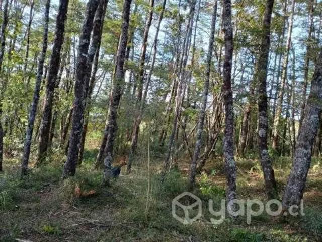 Terreno en venta en La Reina, Provincia de Santiago