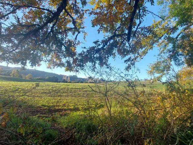 Terreno en venta en La Reina, Provincia de Santiago