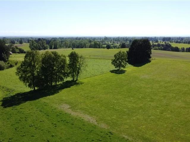 Terreno en venta en Villa Altos del Ranco, Lago Ranco
