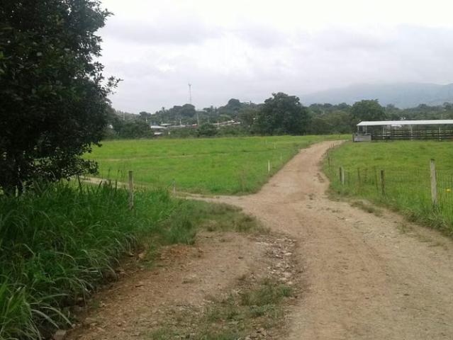 Terreno venta en Las Margaritas, Chepo