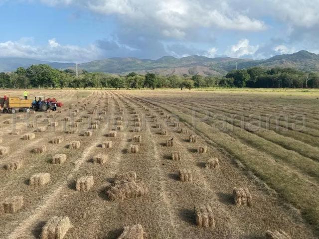 Terreno venta en Las Margaritas, Panamá