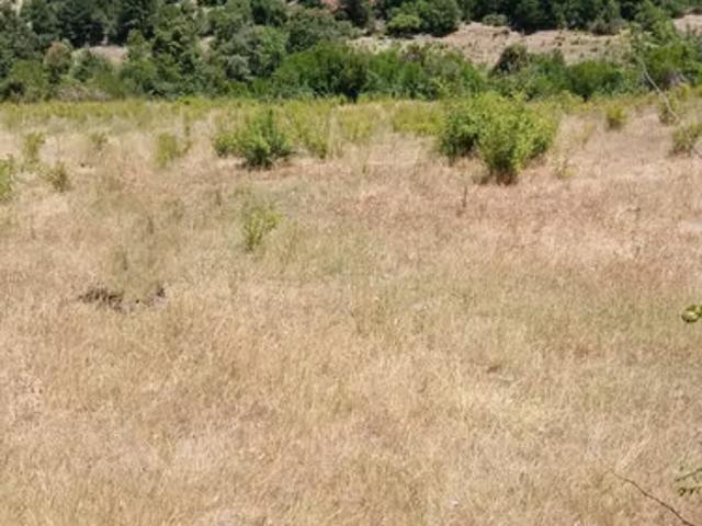 Terreno en venta en Agua Fría, Linares