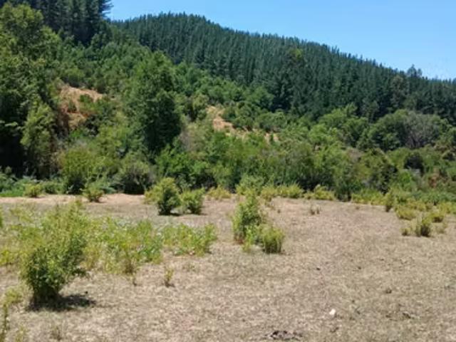 Terreno en venta en Agua Fría, Linares