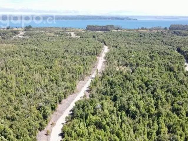 Terreno en venta en Lo Barnechea, Provincia de Santiago
