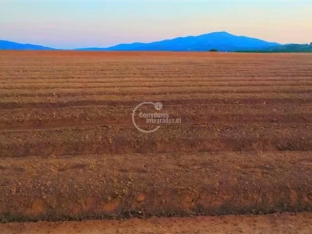 Terreno en arriendo en Lolol, Provincia de Colchagua