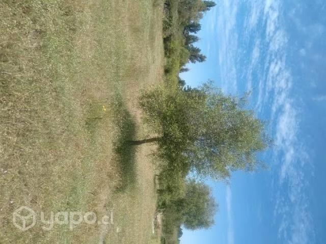 Terreno en venta en Longaví, Provincia de Linares