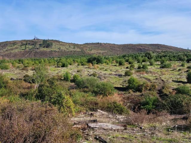 Terreno en arriendo en Los Ángeles, Provincia de Bío-Bío
