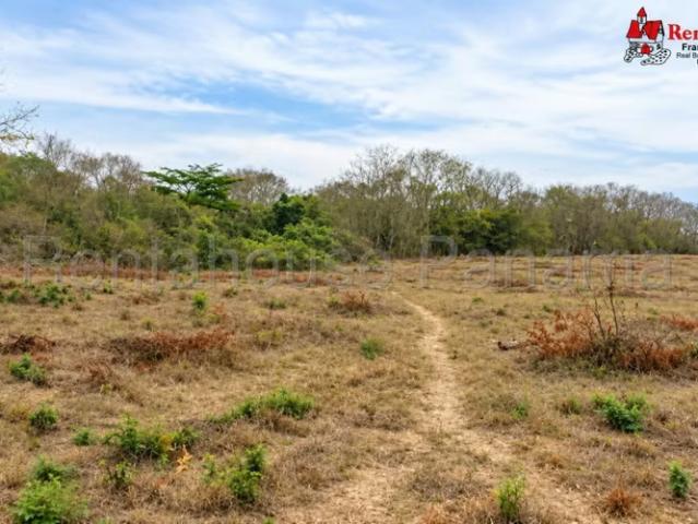 Terreno venta en Las Tablas, Los Santos