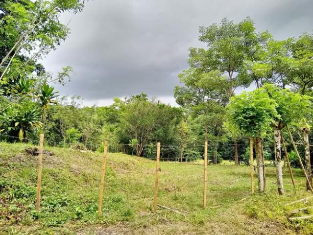 Terreno venta en Macaracas, Los Santos