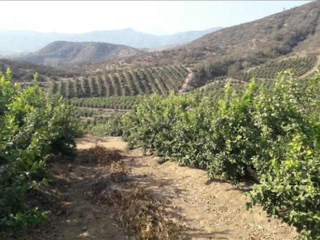 Terreno en venta en Las Palmeras, Melipilla