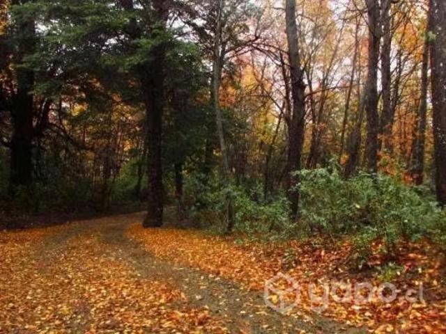 Terreno en venta en Molina, Provincia de Curicó