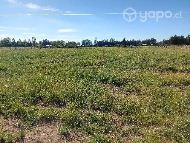Terreno en venta en Molina, Provincia de Curicó