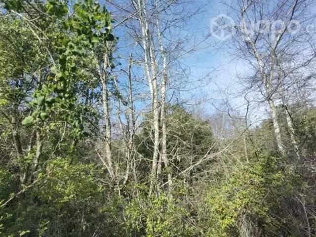 Terreno en venta en Molina, Provincia de Curicó