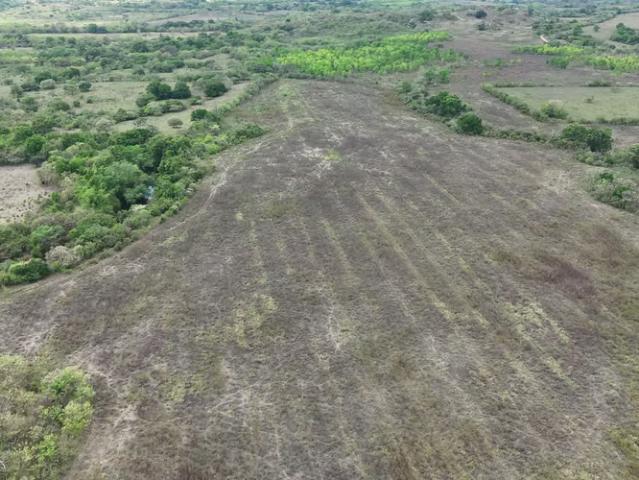 Terreno venta en Montijo
