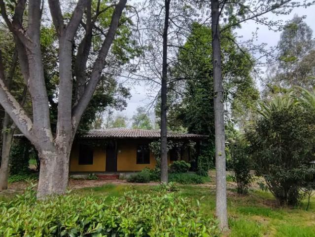 Terreno en arriendo en La Punta, Mostazal