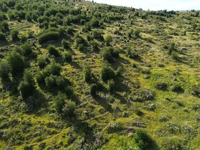 Terreno en venta en Natales, Provincia de Última Esperanza