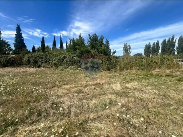 Terreno en venta en Negrete, Biobío