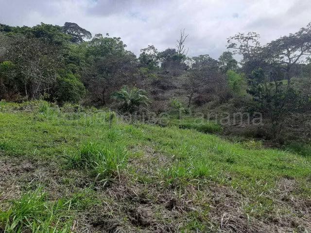 Terreno venta en Nombre de Dios, Santa Isabel
