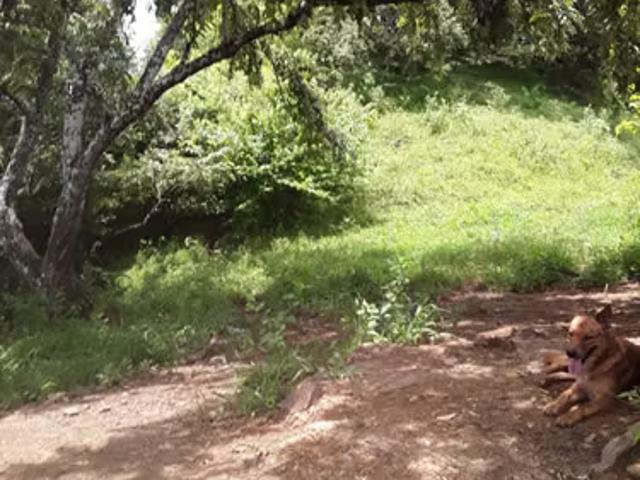 Terreno venta en Oria Arriba, Los Santos